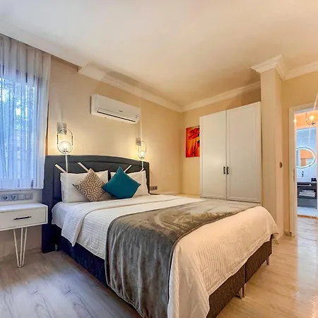 Carrington 厄吕代尼兹