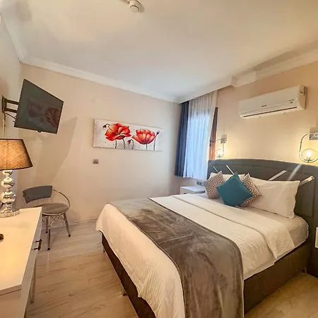 Carrington 厄吕代尼兹